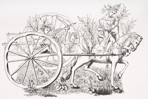 Wie man einen Karren benutzt, um Tiere anzulocken, nach einer Miniatur im Manuskript von Phoebus aus dem 15. Jahrhundert, aus 